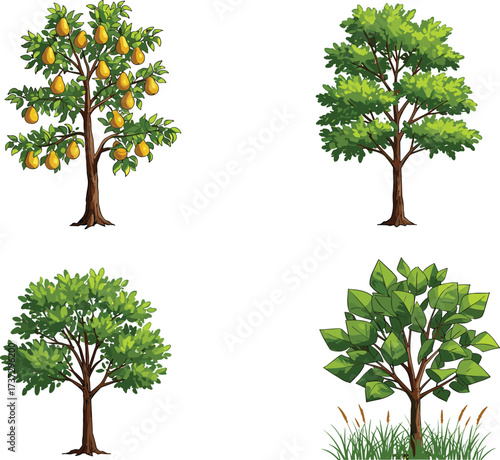 Pear fruit tree with yellow pears, leafy green tree, stylized foliage tree with grass, natural vegetation botanical agriculture landscape illustration