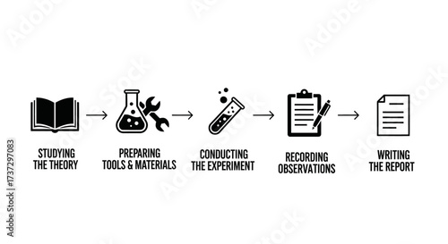 A step-by-step infographic of the scientific method, from studying theory to writing a report.