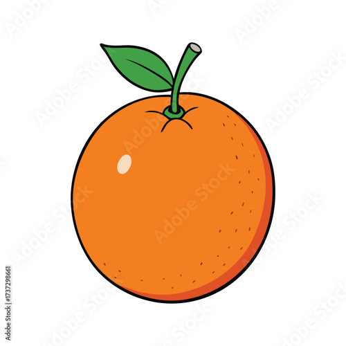 orange fruit vector illustration