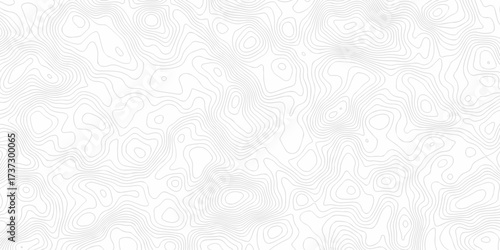 white topography map geography relief diagram texture design. Topography white background and black line world map texture design. Lines Topographic contour lines grid map seamless pattern.	