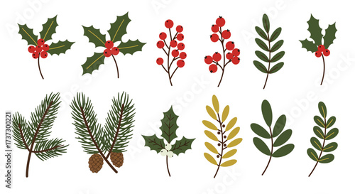 Collection of Festive Christmas Botanical Elements and Sprigs.