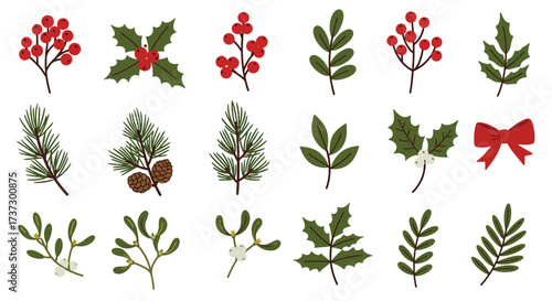 Festive Christmas Botanical Elements Collection with Berries and Holly.