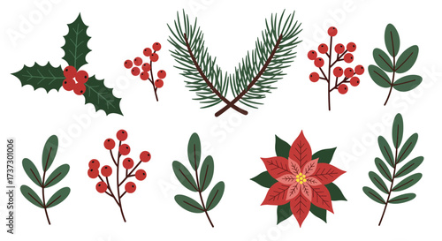 Festive Christmas botanical elements including holly pine branches berries and poinsettia.