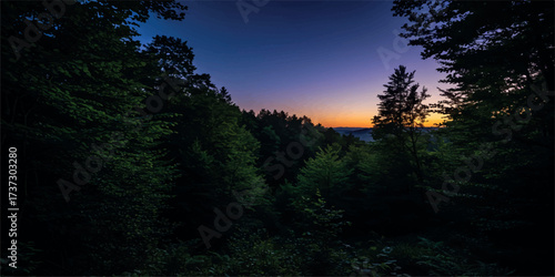 Enchanting forest at dusk with vibrant sky contrasting with green trees