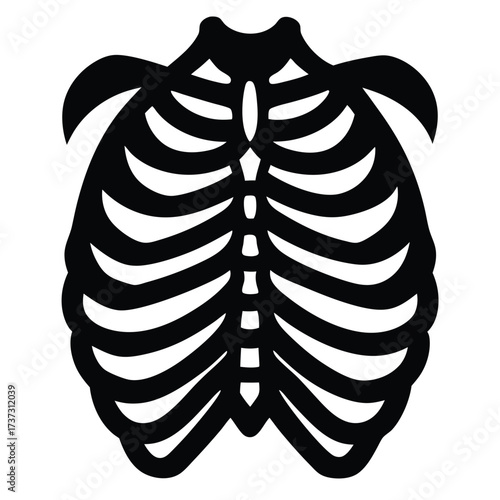 skeleton rib silhouette vector illustration