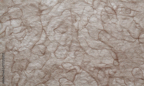 Paper texture and Torn Papers