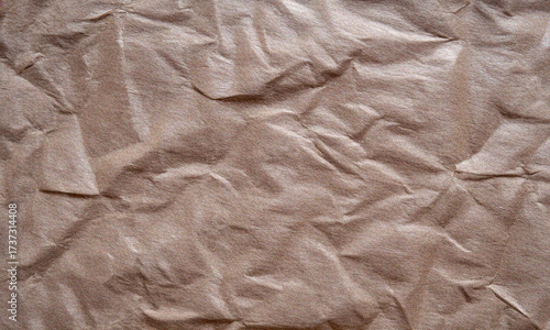 Paper texture and Torn Papers