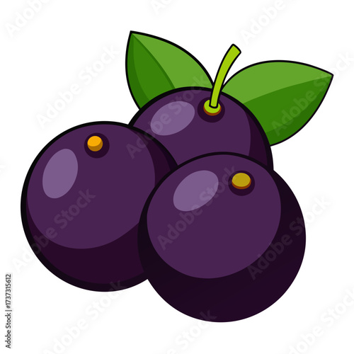 Delicious acai berries with vibrant green leaves, a healthy and fresh fruit icon for nutrition and wellness designs, originally from vector graphics