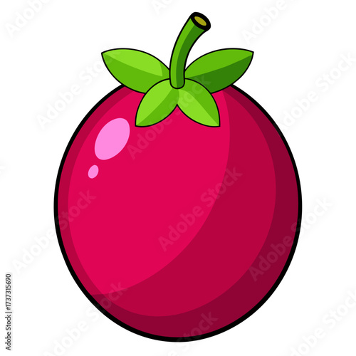 Vibrant mangosteen fruit illustration with playful cartoon style, perfect for healthy food blog or children's book, evokes freshness and deliciousness