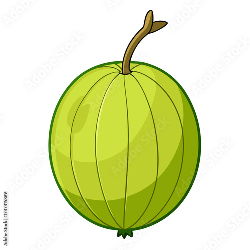 Delightful gooseberry illustration, perfect for adding a touch of nature to your designs, fresh and vibrant, ideal for menus, packaging, and educational materials