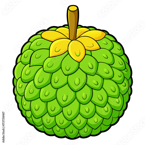 Vibrant cartoon custard apple illustration ripe and ready to eat, adding a touch of playful sweetness, perfect for fun food designs or educational content