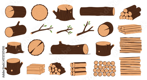Collection of various types of wood logs and branches for timber and firewood uses.