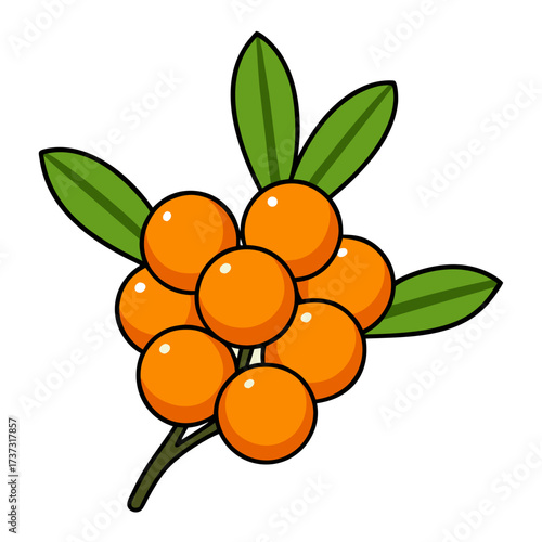 Bright and cheerful cartoon illustration of sea buckthorn berries on a twig, vibrant and playful, perfect for food packaging and healthy lifestyle designs