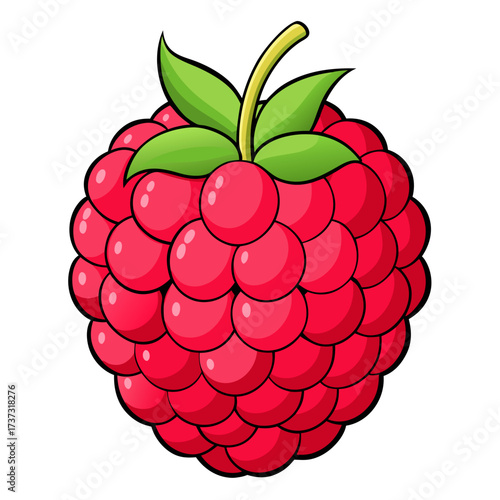 Luscious raspberry illustration, perfect for summer treats and healthy eating promotions, ideal for vibrant designs emphasizing freshness and natural goodness