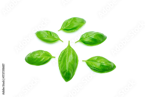 Green basil leaves isolated on white background