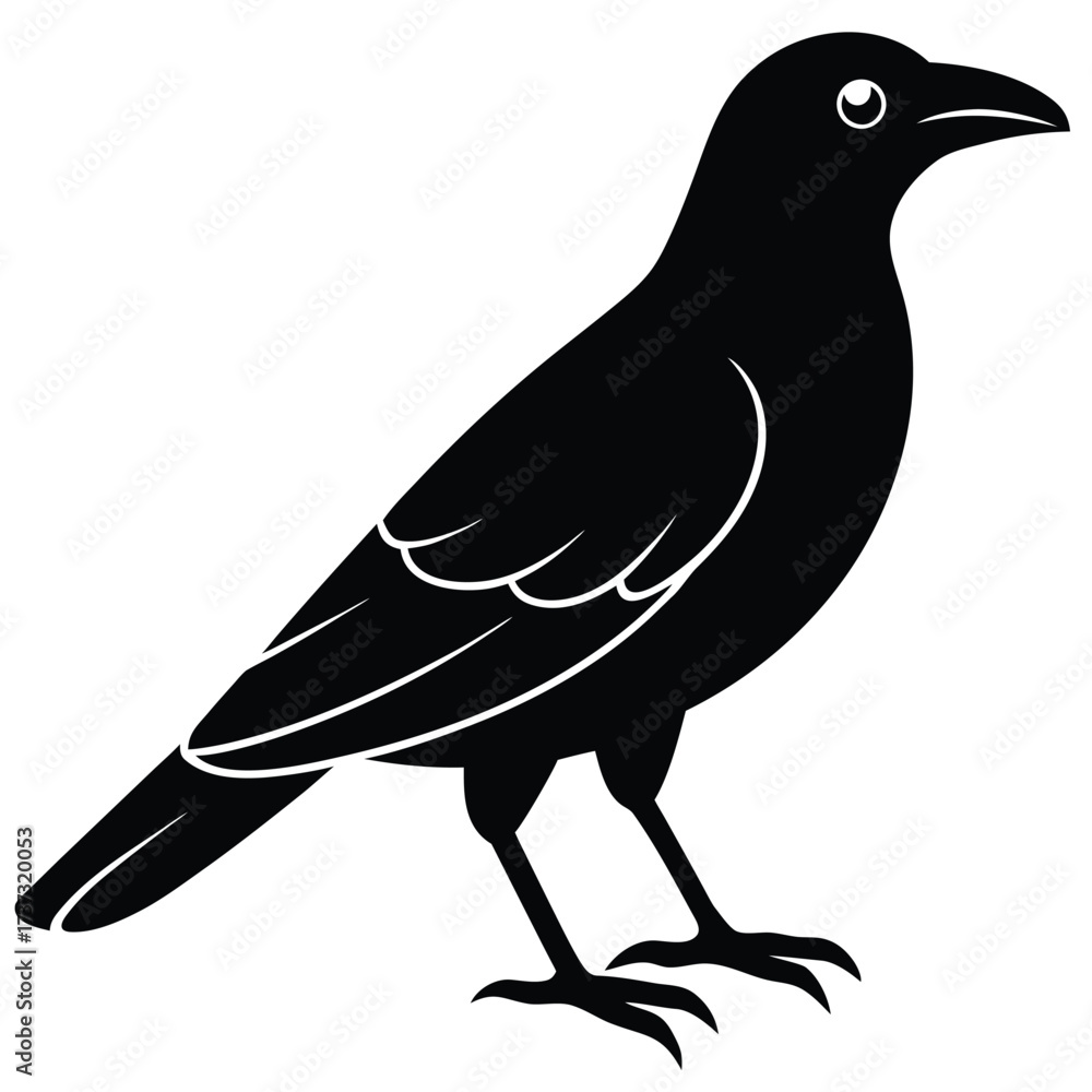 Fototapeta premium black crow silhouette vector illustration