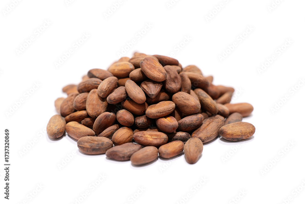 Fototapeta premium Fresh cacao beans on white background