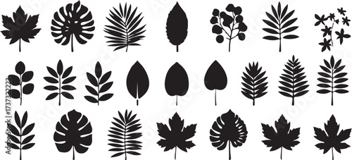 leaf clipart silhouette, botanical foliage illustration, nature leaf vector, plant icon graphics, organic leaf shapes, black white leaves clipart, printable botanical icons, foliage design pack, leaf 