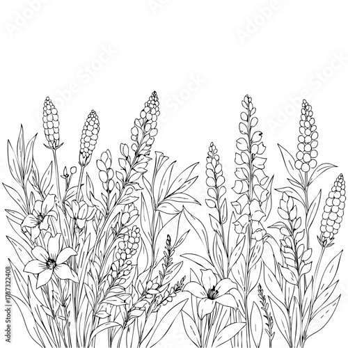 Flower Garden with different kinds of flower plants on a white transparent png background- hand drawn art