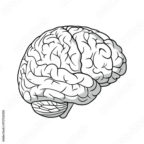 Unveiling the Intricacies of the Mind: A detailed black and white illustration of the human brain, showcasing its complex structure and neural pathways.