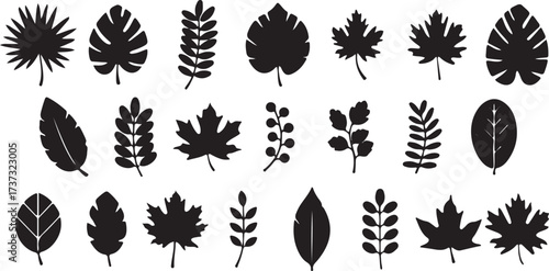 leaf clipart silhouette, foliage illustration vector, botanical nature icons, autumn leaf graphics, plant leaf shapes, black white foliage clipart, printable leaf designs, nature icon pack, organic le
