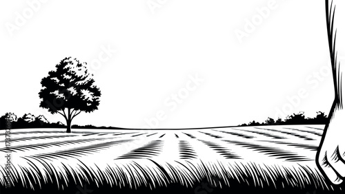 Black silhouette of bare tree branches in a winter forest landscape with snow and cold nature design