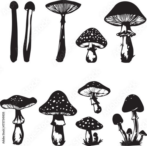 Black and white mushroom illustration set with diverse fungi shapes botanical nature vector design collection