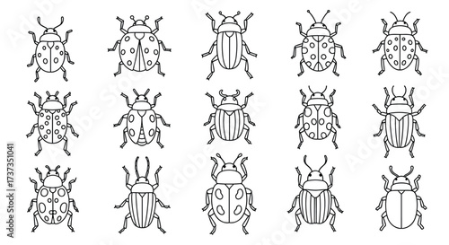 A collection of diverse beetle illustrations featuring intricate line art and varied patterns.