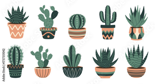 A collection of potted houseplants featuring various cacti and succulents.