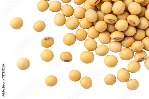 Pile of yellow soybeans scattered on a black background soy beans food