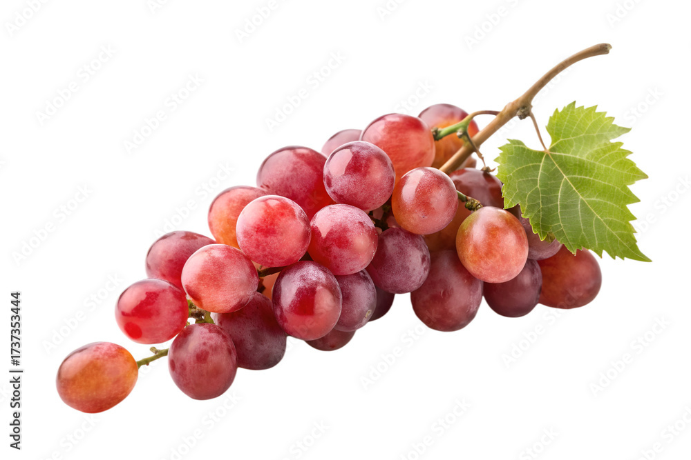 Fototapeta premium Ripe red grapes on a vine with a green leaf against black fruit bunch of grapes