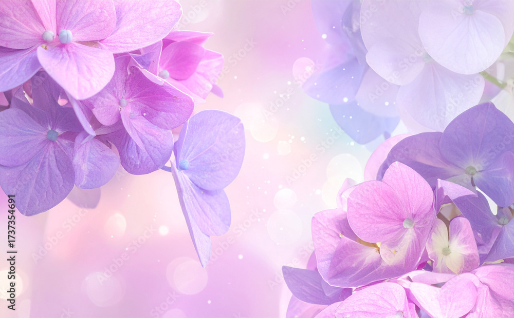 Fototapeta premium やわらかな光に包まれた紫陽花の幻想的なクローズアップ