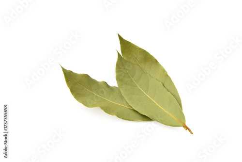 Dried natural bay leaves closed up in group isolated on white