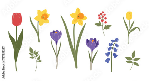 A charming collection of early spring flowers in various colors and delicate green leaves.