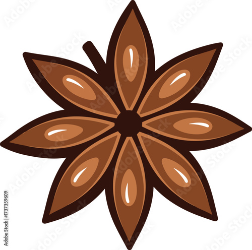 Star anise spice exotic aroma culinary ingredient vector