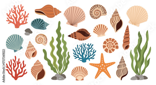 A collection of colorful seashells seaweed coral and starfish in a beautiful underwater scene.