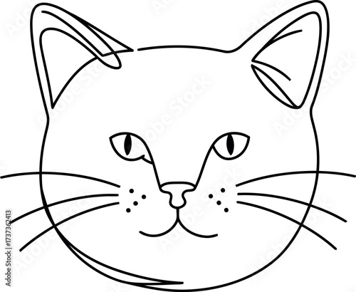 Minimalist cat face sketch hand drawn line art simple pet portrait vector