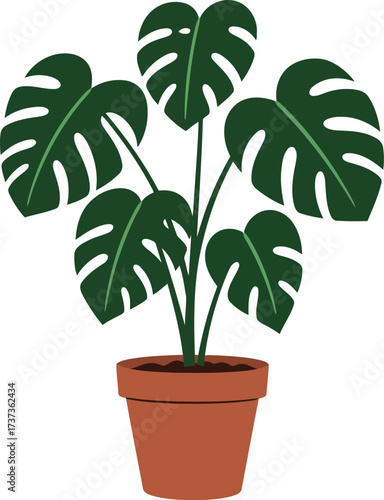 Monstera plant in terracotta pot tropical houseplant vector illustration vector