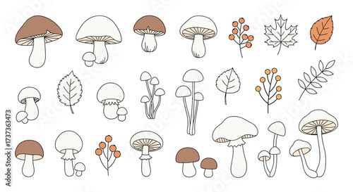 A charming collection of hand drawn doodle mushrooms and autumn leaves.