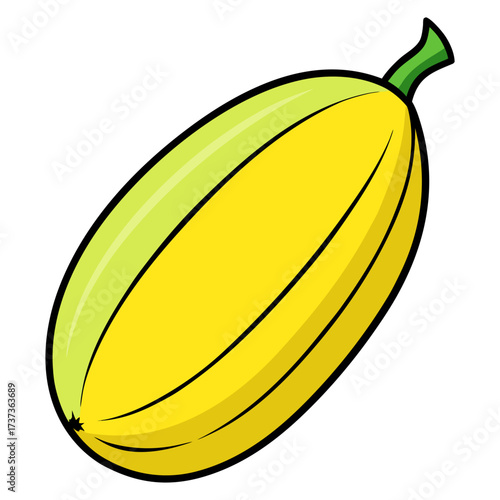 Fresh yellow summer squash illustration, a vibrant addition to healthy cooking designs, perfect for farm-to-table concepts and seasonal recipes