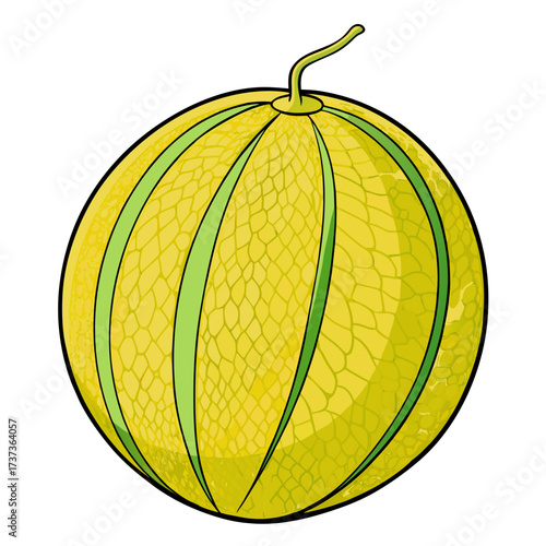 Fresh yellow melon illustration with bright green stripes, perfect for summer recipes and healthy eating campaigns, originally a scalable vector graphic