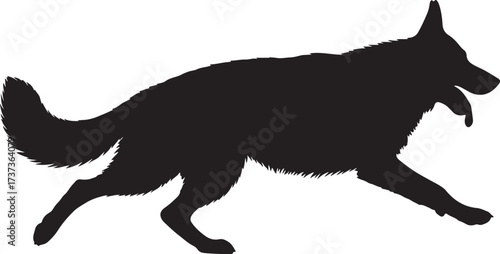 Silhouette of dog,dog walking silhouette,sitting dog