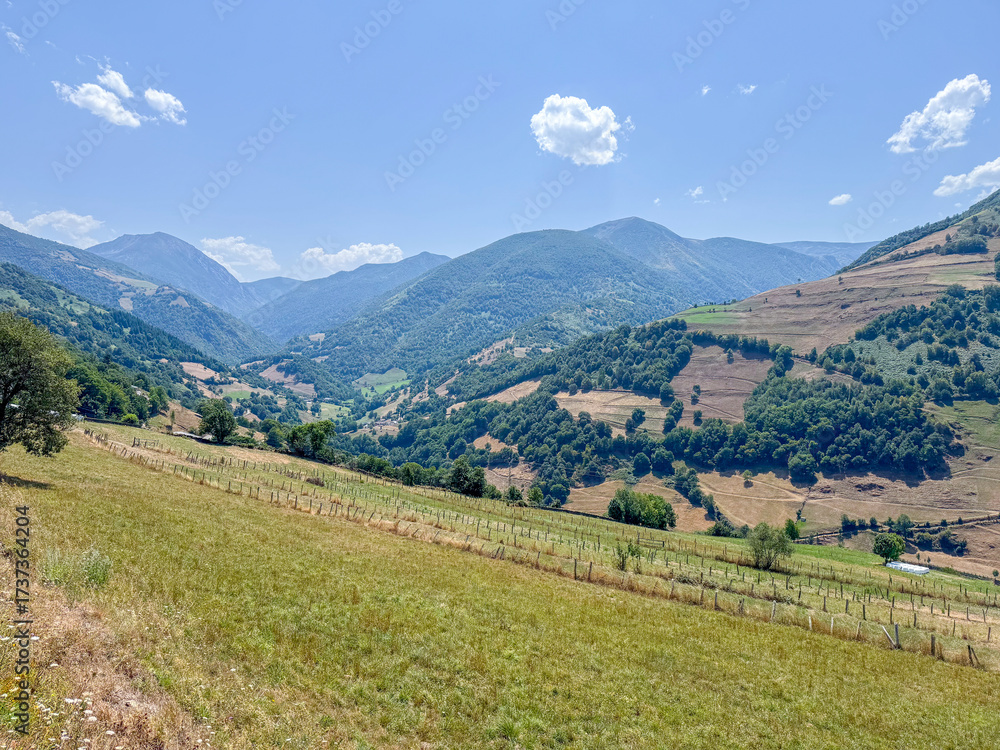 Obraz premium Cows in the Leitariegos Valley in Asturias, with the air polluted by smoke from the August 2025 forest fires.