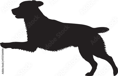 Silhouette of dog,dog walking silhouette,sitting dog