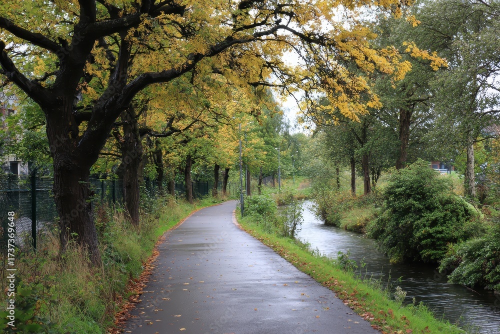 Fototapeta premium Greenway Walk. Urban River Walk with Trees and Nature in Autumn Landscape