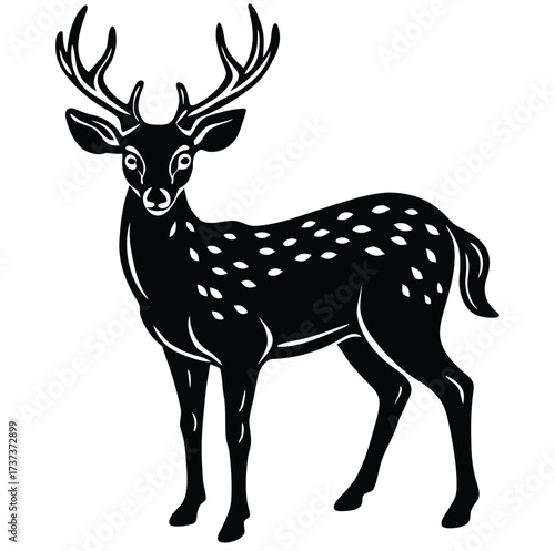 White-tailed Deer Vector Illustration on White Background | Wildlife Animal Clipart