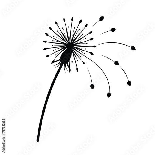 Dandelion Blowing Outline