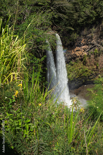 waterfall in the forest