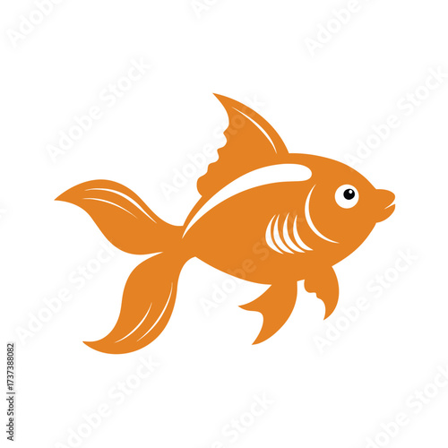 Orange goldfish with flowing fins on white background Keywords: goldfish, fish, aquatic, animal