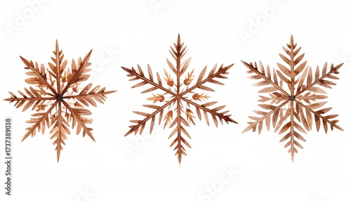 Three watercolor snowflakes, brown hues, on a white background